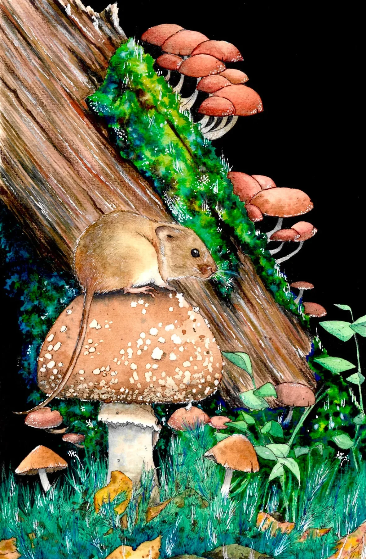 Acuarela sobre fondo negro: un ratón de campo sobre una gran seta moteada, junto a un tronco con musgo verde y racimos de setas anaranjadas.